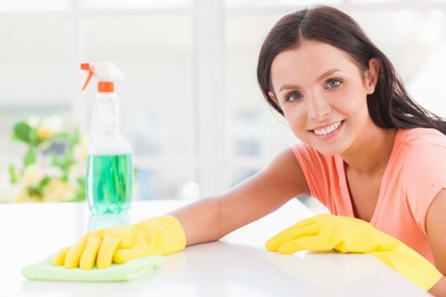 Local regular cleaning service for homes and businesses in Edgware