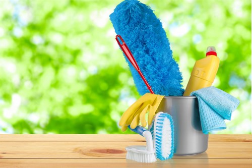 Domestic cleaner preparing a tidy living room in an Edgware home