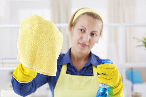 Reviewing carpet cleaning service concerns