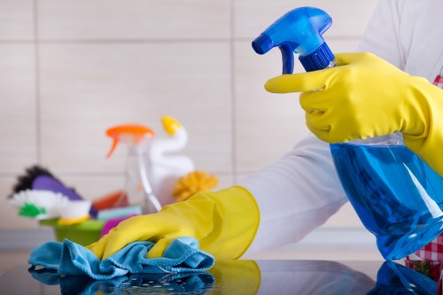 Support request for accessibility assistance on a carpet cleaning site