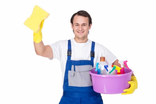 Professional stain removal for carpets and upholstery in Edgware homes