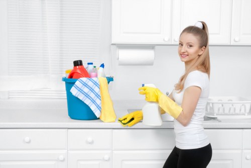 Kitchen and bathroom domestic cleaning tasks in a local Edgware property