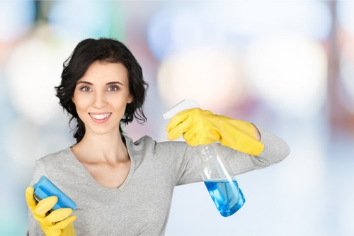 Deep cleaning upholstery for pet odour removal in Edgware