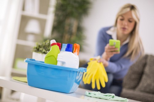 Carpet and rug pet stain treatment service in Edgware